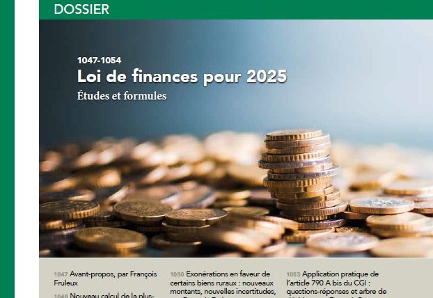 Fiscalité 2025 : quelles certitudes face aux incertitudes ?
